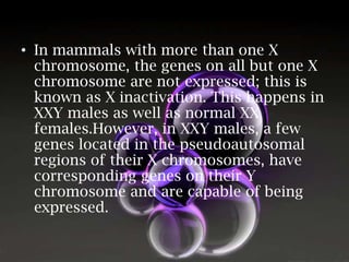 • In mammals with more than one X
chromosome, the genes on all but one X
chromosome are not expressed; this is
known as X inactivation. This happens in
XXY males as well as normal XX
females.However, in XXY males, a few
genes located in the pseudoautosomal
regions of their X chromosomes, have
corresponding genes on their Y
chromosome and are capable of being
expressed.

 