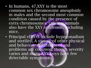 • In humans, 47,XXY is the most
common sex chromosome aneuploidy
in males and the second most common
condition caused by the presence of
extra chromosomes. Other mammals
also have the XXY syndrome, including
mice.
• Principal effects include hypogonadism
and sterility. A variety of other physical
and behavioural differences and
problems are common, though severity
varies and many XXY boys have few
detectable symptoms.

 