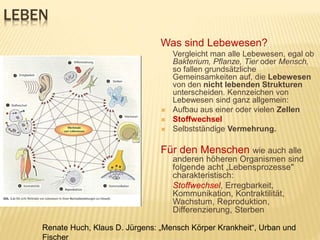 LEBEN
Was sind Lebewesen?
Vergleicht man alle Lebewesen, egal ob
Bakterium, Pflanze, Tier oder Mensch,
so fallen grundsätzliche
Gemeinsamkeiten auf, die Lebewesen
von den nicht lebenden Strukturen
unterscheiden. Kennzeichen von
Lebewesen sind ganz allgemein:
 Aufbau aus einer oder vielen Zellen
 Stoffwechsel
 Selbstständige Vermehrung.
Für den Menschen wie auch alle
anderen höheren Organismen sind
folgende acht „Lebensprozesse"
charakteristisch:
Stoffwechsel, Erregbarkeit,
Kommunikation, Kontraktilität,
Wachstum, Reproduktion,
Differenzierung, Sterben
Renate Huch, Klaus D. Jürgens: „Mensch Körper Krankheit“, Urban und
Fischer
 