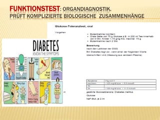 FUNKTIONSTEST: ORGANDIAGNOSTIK.
PRÜFT KOMPLIZIERTE BIOLOGISCHE ZUSAMMENHÄNGE
 