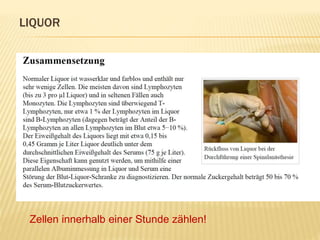 LIQUOR
Zellen innerhalb einer Stunde zählen!
 