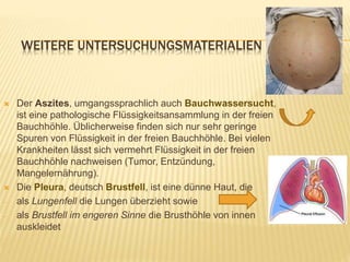WEITERE UNTERSUCHUNGSMATERIALIEN
 Der Aszites, umgangssprachlich auch Bauchwassersucht,
ist eine pathologische Flüssigkeitsansammlung in der freien
Bauchhöhle. Üblicherweise finden sich nur sehr geringe
Spuren von Flüssigkeit in der freien Bauchhöhle. Bei vielen
Krankheiten lässt sich vermehrt Flüssigkeit in der freien
Bauchhöhle nachweisen (Tumor, Entzündung,
Mangelernährung).
 Die Pleura, deutsch Brustfell, ist eine dünne Haut, die
 als Lungenfell die Lungen überzieht sowie
 als Brustfell im engeren Sinne die Brusthöhle von innen
auskleidet
 