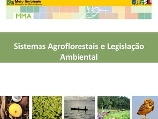 Sistemas Agroflorestais e Legislação
            Ambiental
 