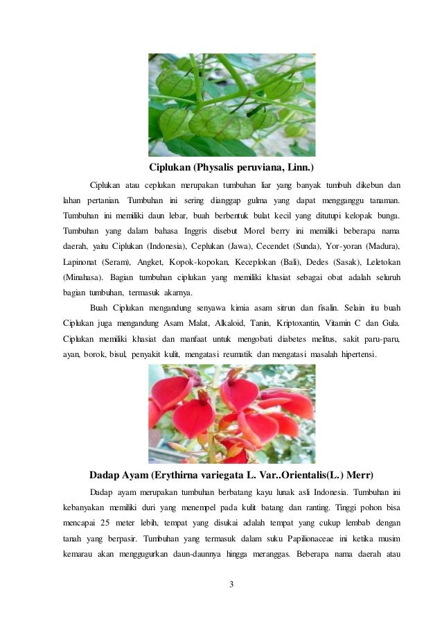 Jurnal Bahasa Inggris Diabetes Melitus Jurnal Doc