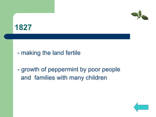 1827 - making the land fertile - growth of peppermint by poor people  and  families with many children    