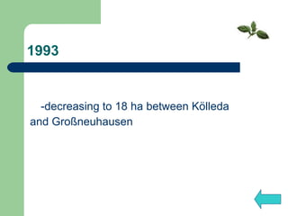 1993 -decreasing to 18 ha between Kölleda  and Großneuhausen 