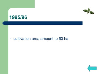 1995/96 -  cultivation area amount to 63 ha 