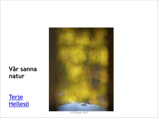 eller här? 

!
!
!

Vår sanna
natur
!
!

Terje
Hellesö
A K Olsson 2011

 