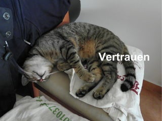 Vertrauen
 