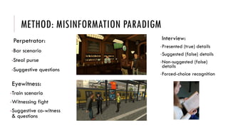Remembering Molly: immediate and delayed false memory formation after ...