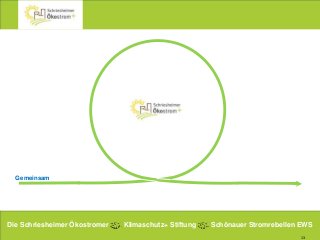 13
Gemeinsam
Die Schriesheimer Ökostromer Klimaschutz+ Stiftung Schönauer Stromrebellen EWS
 