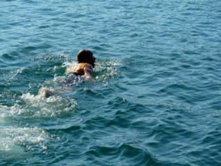 Ferienanlage Klopeinersee-Freizeit