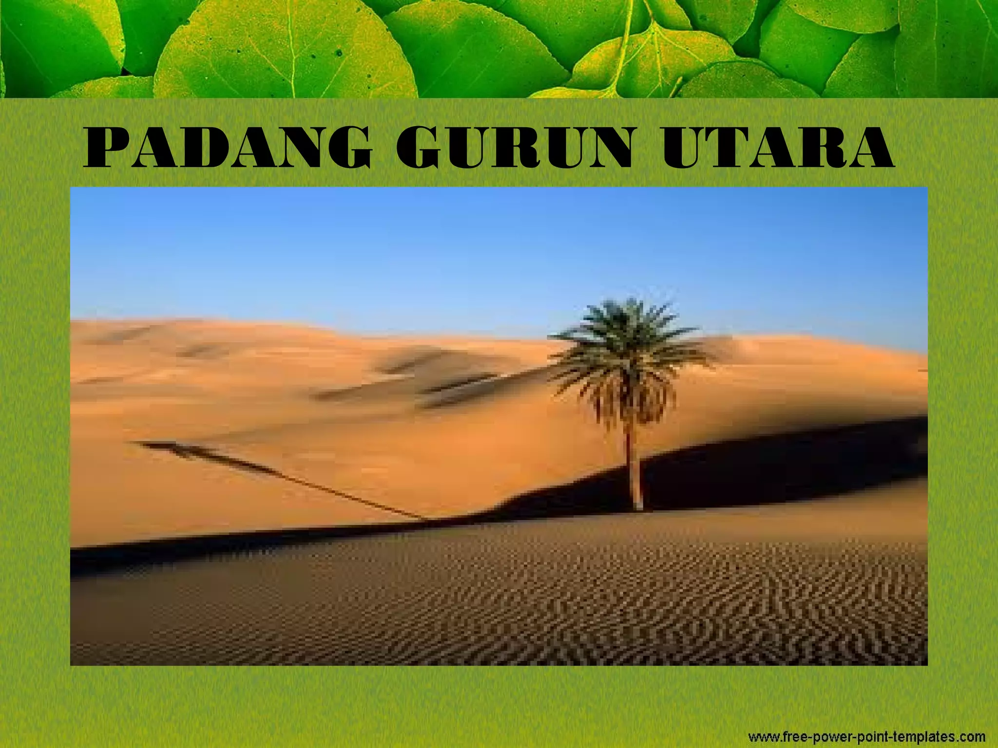 PADANG GURUN UTARA
 