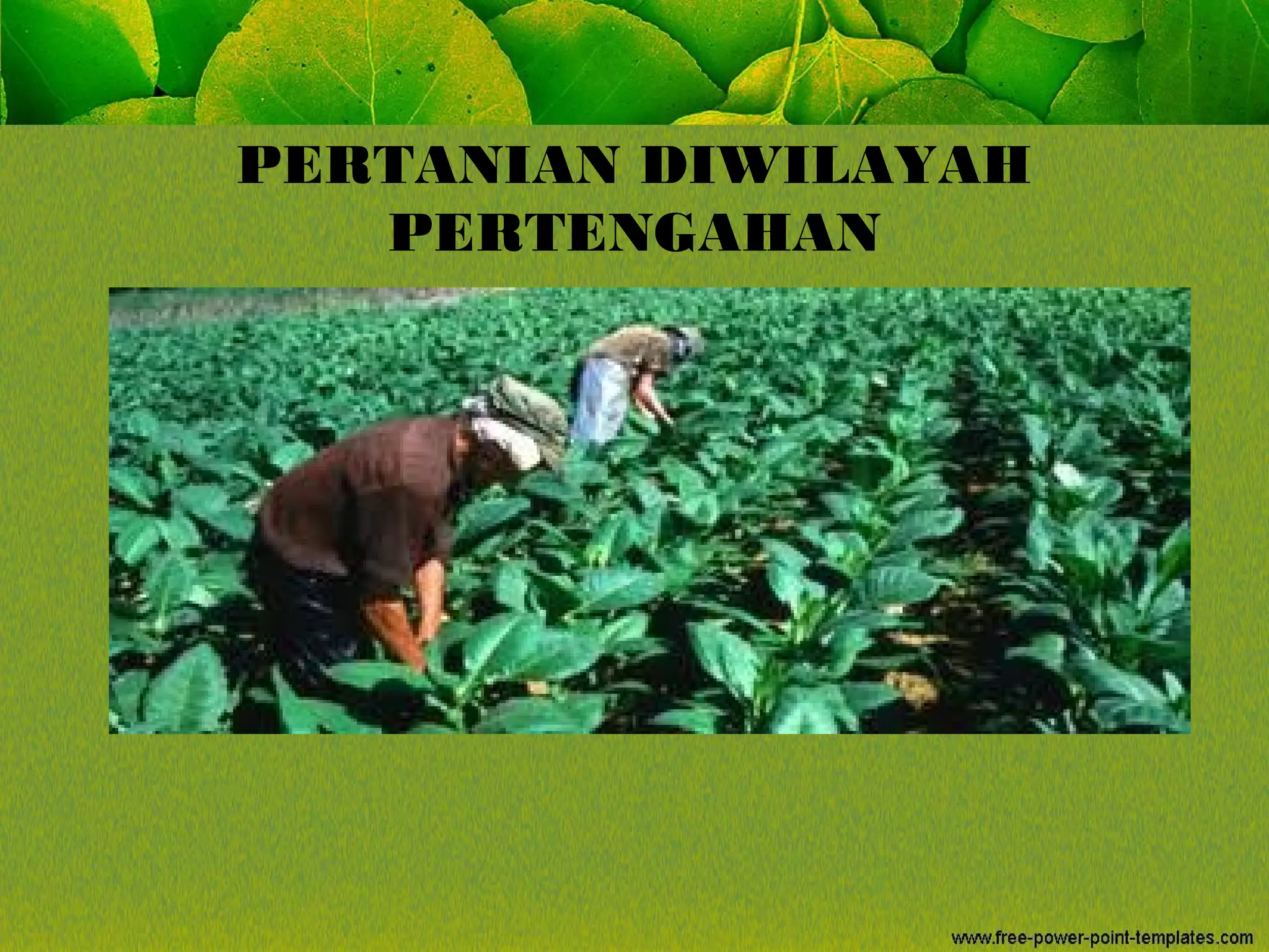 PERTANIAN DIWILAYAH
PERTENGAHAN
 