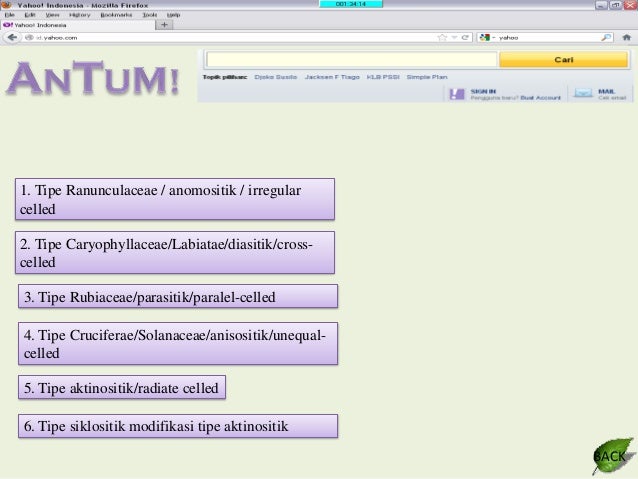 ANATOMI TUMBUHAN - JARINGAN EPIDERMIS