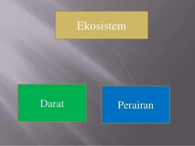 Macam-macam ekosistem dan komunitas