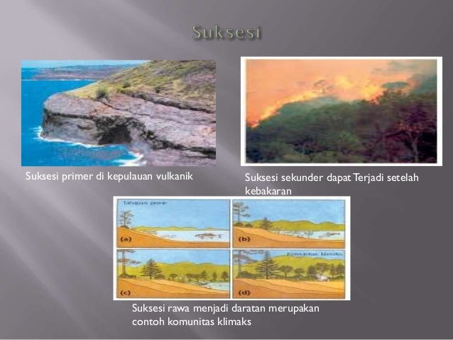 macam-macam ekosistem dan komunitas