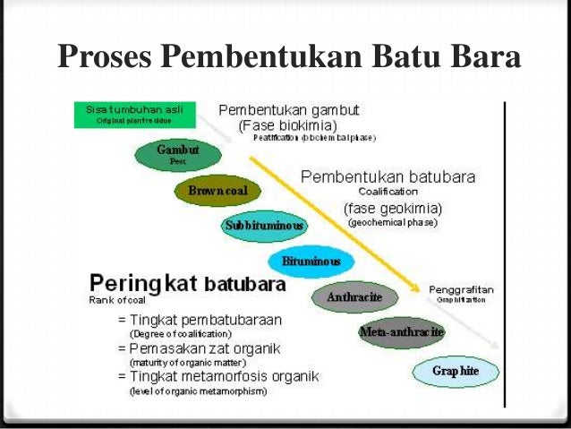 Klp6