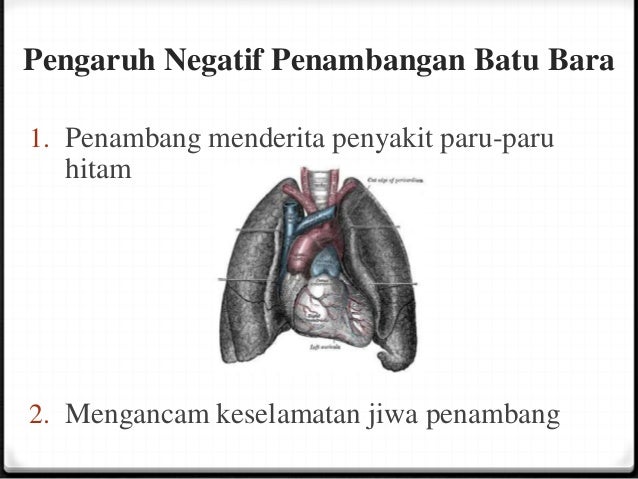 Klp6