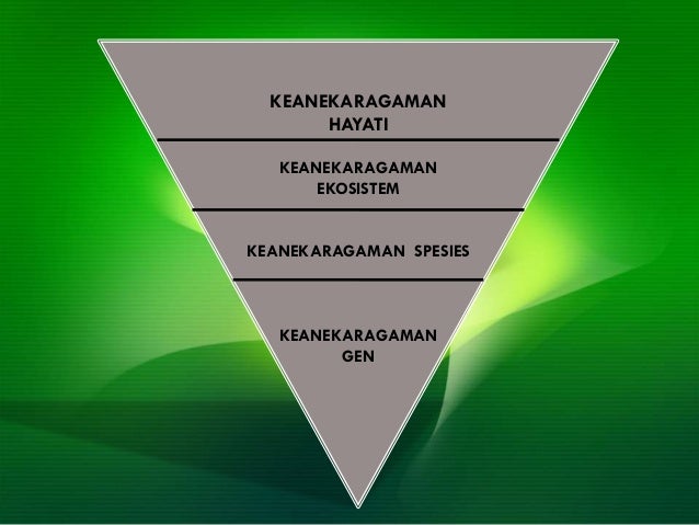 Masalah Keanekaragaman Hayati