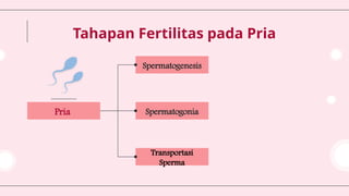 Pokok bahasan pertemuan ke 11 fertilitas | PPTX