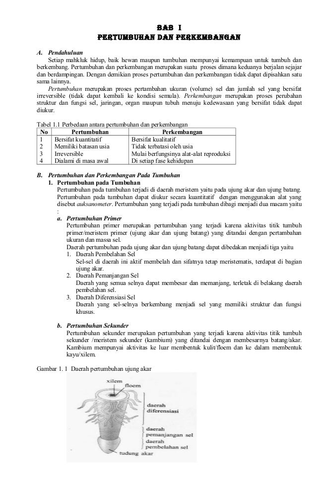 Biologi Kelas 8 Smt 1