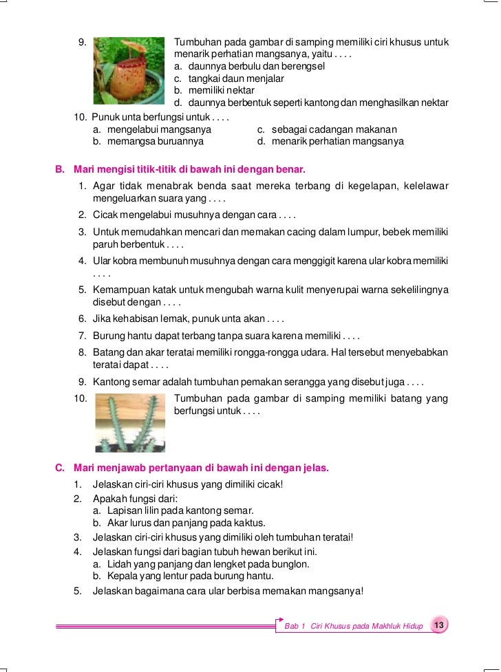 Kls 6 Ipa