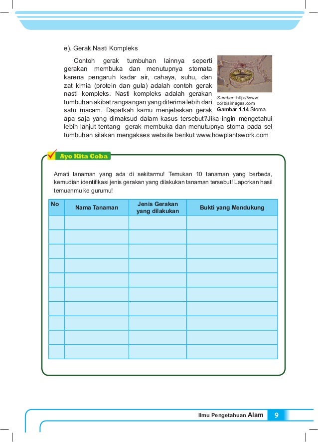 Kls 8 buku siswa ipa kurikulum 2013