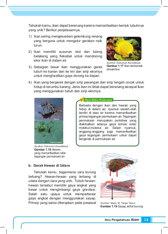 Kls 8 buku siswa ipa kurikulum 2013