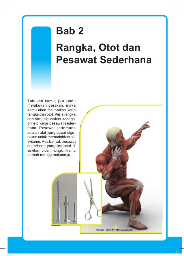 1000+ Gambar Cover Buku Yang Isinya Menjelaskan Tentang Otot Manusia Terbaik 1000+ Gambar Cover Buku Yang Isinya Menjelaskan Tentang Otot Manusia Terbaik