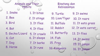 Animals and Their
Habits
1. Snake
Binatang dan
Kebiasannya
7. It barks
2. Bee
3. Bird
4. Bat
5. Gecko/Lizard
6. Cat
7. Dog
8. Horse
2. It stings
3. It flies
4. It flies
5. It crawls
6. It sleeps
1. It bites
8. It runs
9. Turtle
10. Lion/Tiger
11. Buffalo
12. Rabbit
13. Butterfly
14. Fish
15. Frog
16. Kangooro
9. It swims
10. It roars
11. It eats grass
12. It eats carrot
13. It flies
14. It swims
15. It jumps
16. It jumps
 