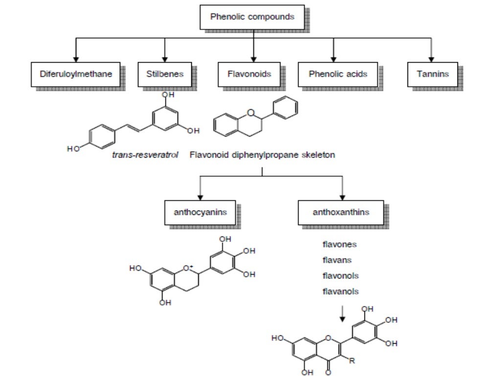 Analysis of Antioxidant in banana