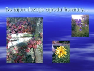 Do tajemniczego ogrodu literatury… 