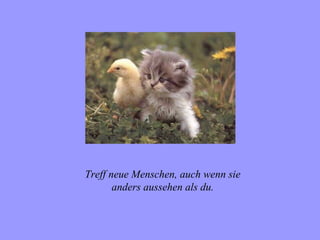 Treff neue Menschen, auch wenn sie
       anders aussehen als du.
 