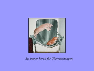 Sei immer bereit für Ûberraschungen.
 
