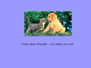 Liebe deine Freunde – wer immer sie sind.
 