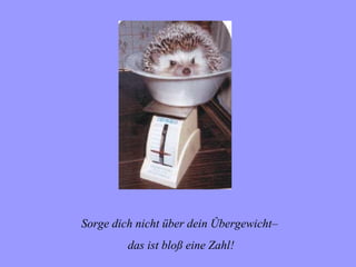 Sorge dich nicht über dein Ûbergewicht–
         das ist bloß eine Zahl!
 