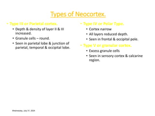Kluver-Bucy Syndrome.ppt affecting cerebral cortex | PPT