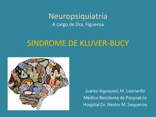 Neuropsiquiatría
A cargo de Dra. Figueroa
SINDROME DE KLUVER-BUCY
Juarez-Aguaysol, M. Leonardo
Médico Residente de Psiquiatría
Hospital Dr. Nestor M. Sequeiros
 