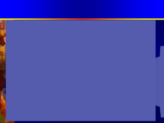 การจัดการความรู้แบบบูรณาการพระราชกฤษฎีกาว่าด้วยหลักเกณฑ์และวิธีการบริหารกิจการบ้านเมืองที่ดี พ.ศ. 2546หมวด  3  มาตรา 11         “ส่วนราชการมีหน้าที่พัฒนาความรู้ในส่วนราชการเพื่อให้มีลักษณะเป็น องค์กรแห่งการเรียนรู้อย่างสม่ำเสมอ  โดยต้อง รับรู้ข้อมูลข่าวสารและสามารถ ประมวลผลความรู้ในด้านต่างๆ เพื่อนำมา ประยุกต์ใช้ในการปฏิบัติราชการได้อย่าง ถูกต้อง รวดเร็วและเหมาะสมกับสถานการณ์รวมทั้งต้อง ส่งเสริมและพัฒนาความรู้ความสามารถสร้างวิสัยทัศน์และปรับเปลี่ยนทัศนคติของข้าราชการในสังกัดให้เป็นบุคลากรที่          มีประสิทธิภาพ  และ มีการเรียนรู้ร่วมกันทั้งนี้เพื่อประโยชน์ในการปฏิบัติราชการของ ส่วนราชการให้สอดคล้องกับการบริหารราชการให้เกิดผลสัมฤทธิ์ตามพระราช  กฤษฎีกานี้”