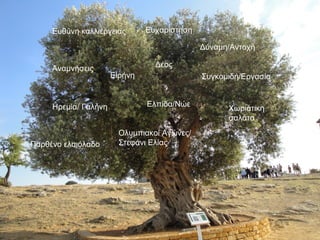Ευθύνη καλλιέργειας Ευχαρίστηση
Αναμνήσεις Δέος
Ηρεμία/ Γαλήνη Ελπίδα/Νώε
Παρθένο ελαιόλαδο
Δύναμη/Αντοχή
Ολυμπιακοί Αγώνες/
Στεφάνι Ελίας
Χωριάτικη
σαλάτα
Ειρήνη Συγκομιδή/Εργασία
 