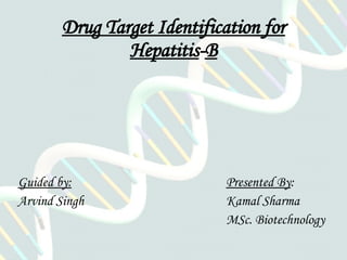Drug Target Identification for Hepatitis - B Guided by:   Presented By :  Arvind Singh Kamal Sharma MSc. Biotechnology 