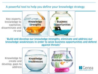 A powerful tool to help you define your knowledge strategy
 