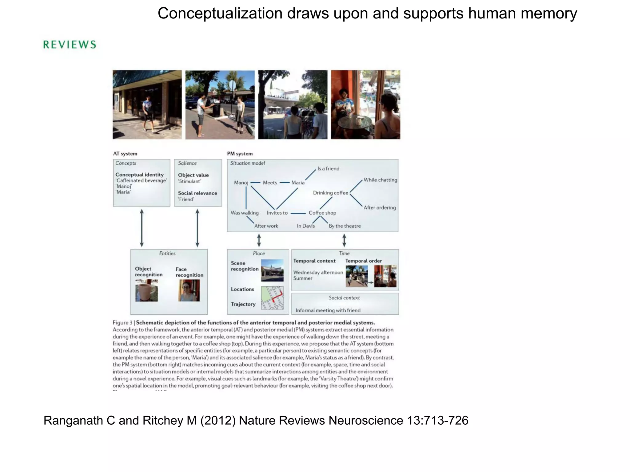 Conceptualization draws upon and supports human memory




Ranganath C and Ritchey M (2012) Nature Reviews Neuroscience 13:713-726
 