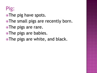 Pig:
 The pig have spots.
 The small pigs are recently born.
 The pigs are rare.
 The pigs are babies.
 The pigs are white, and black.
 