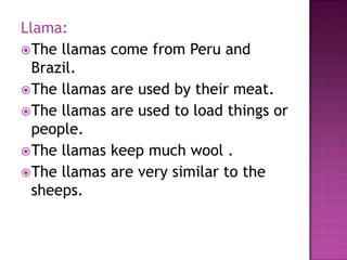 Llama:
 The llamas   come from Peru and
  Brazil.
 The llamas   are used by their meat.
 The llamas   are used to load things or
  people.
 The llamas   keep much wool .
 The llamas   are very similar to the
  sheeps.
 
