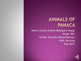 Name: Camila Andrea Rodriguez Vargas
                          Grade: 801
      School: Gerardo Molina Ramirez
                       Shift: Morning
                           Year:2012
 