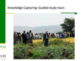 Innovative approaches of knowledge management in agriculture: Experiences from IPMS project–Ethiopia 