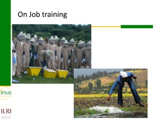 Innovative approaches of knowledge management in agriculture: Experiences from IPMS project–Ethiopia 