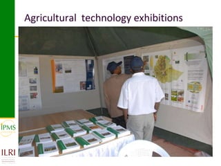 Innovative approaches of knowledge management in agriculture: Experiences from IPMS project–Ethiopia 